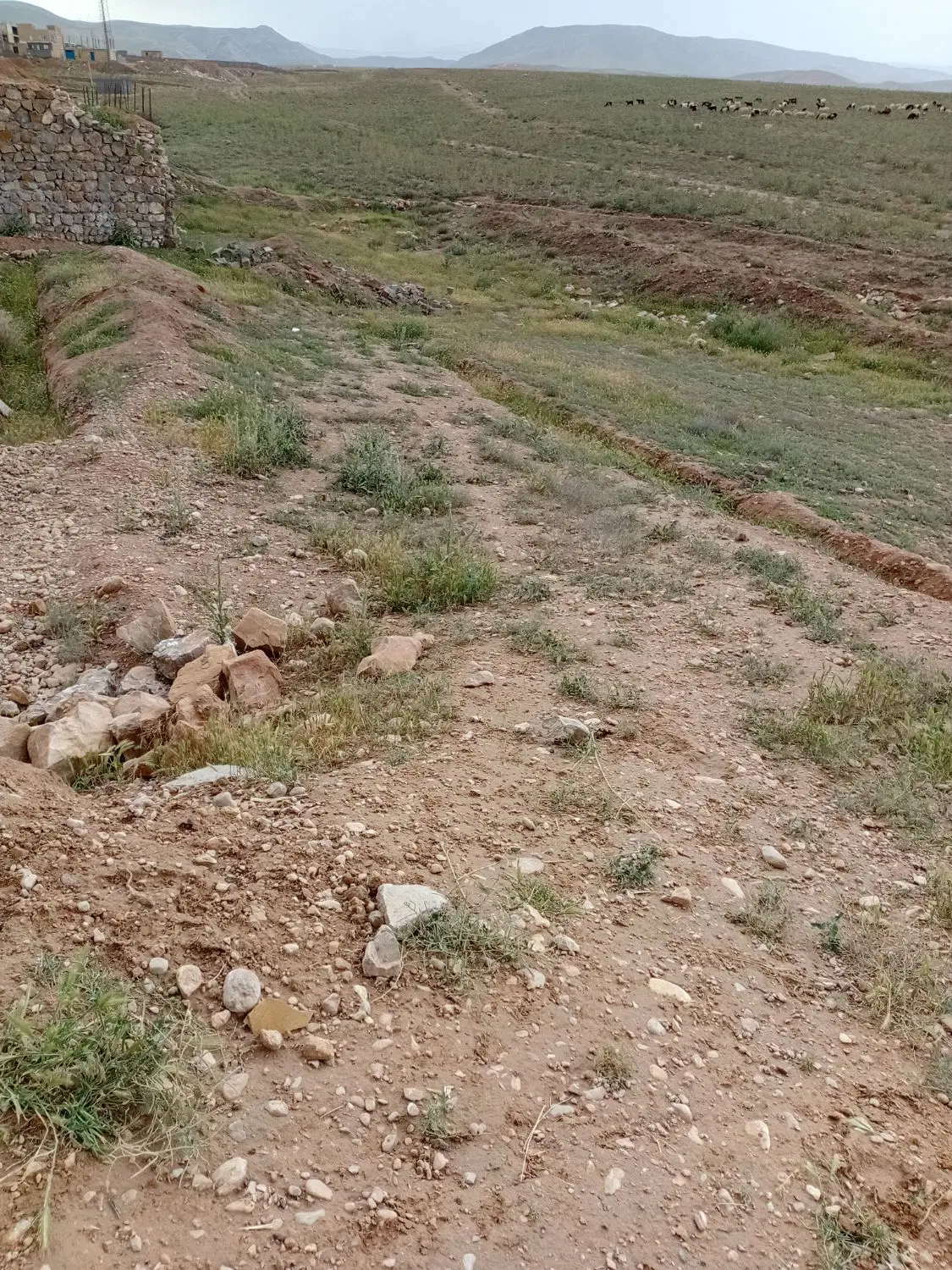 سلام