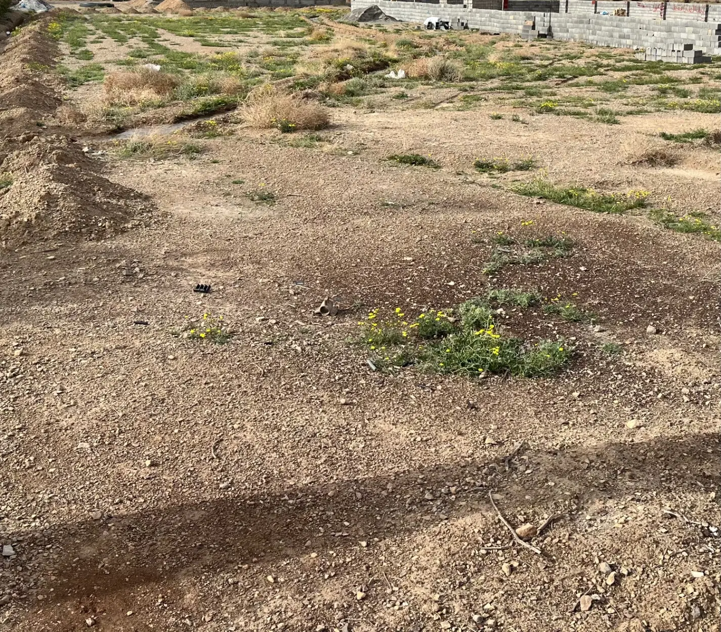زمین باغ و ویلا