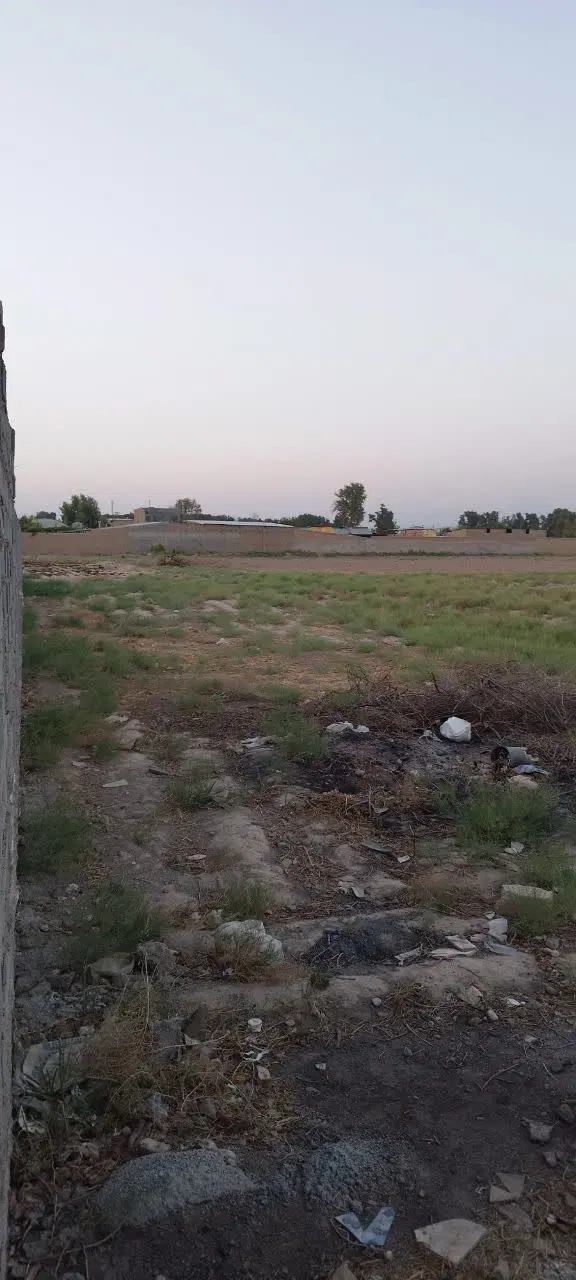 زمین باغچه