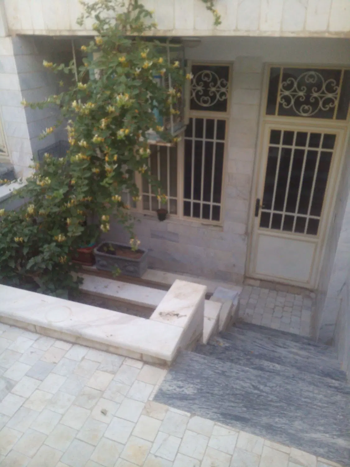 اجاره زیرزمین گلخانه ای