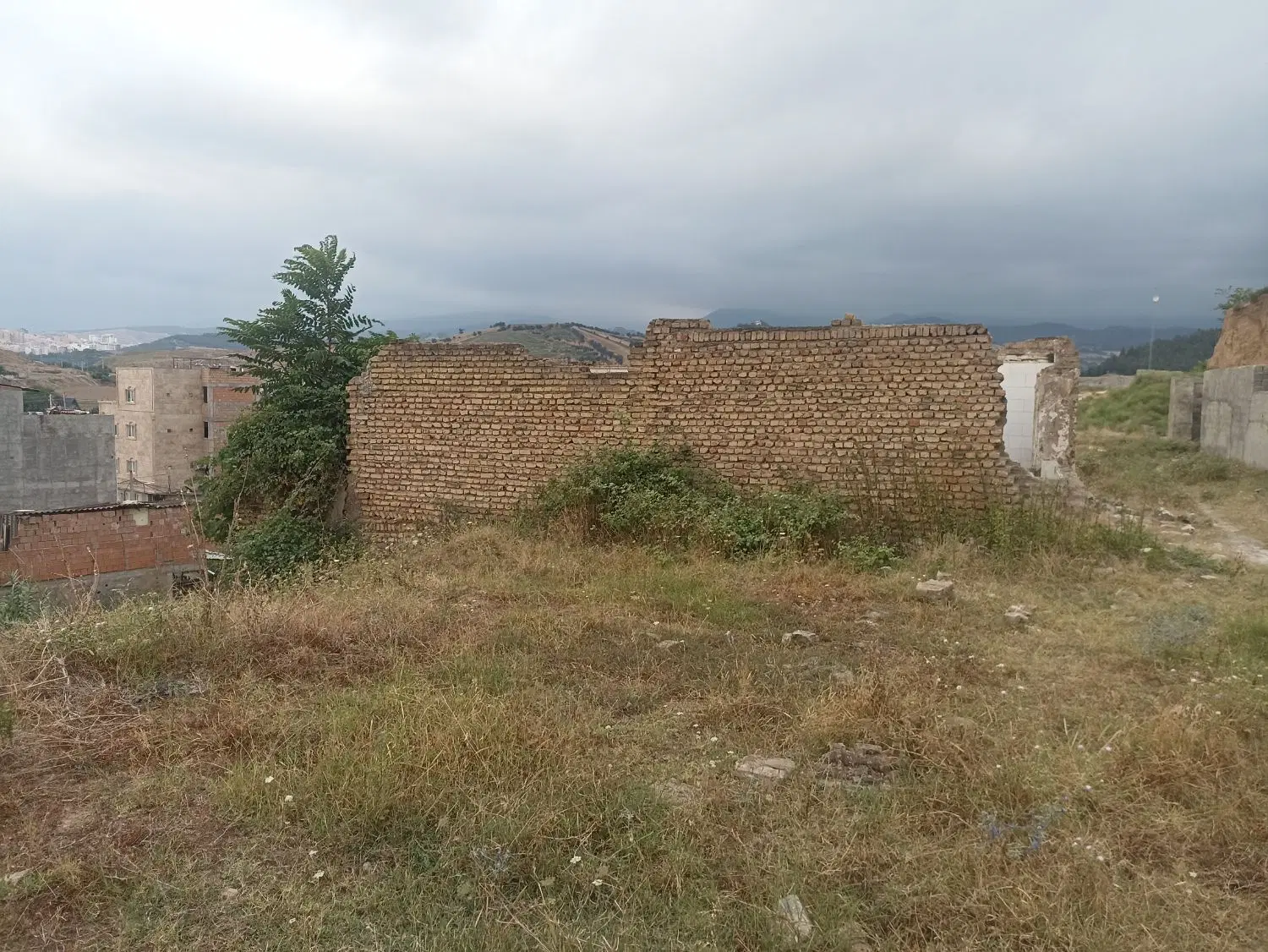 زمین