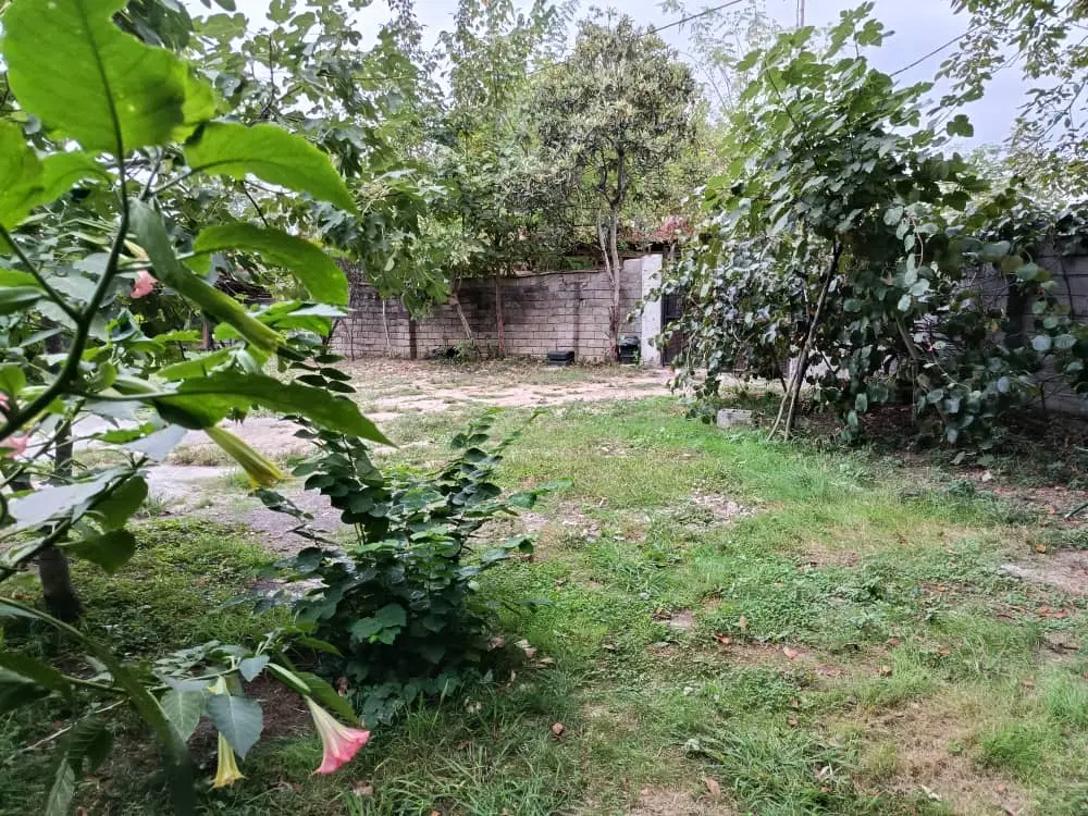 زمین مسکونی خمام