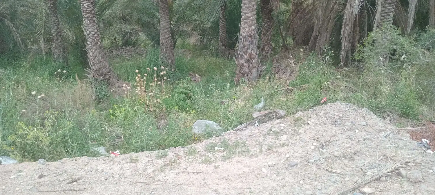 فروش جای مغازه