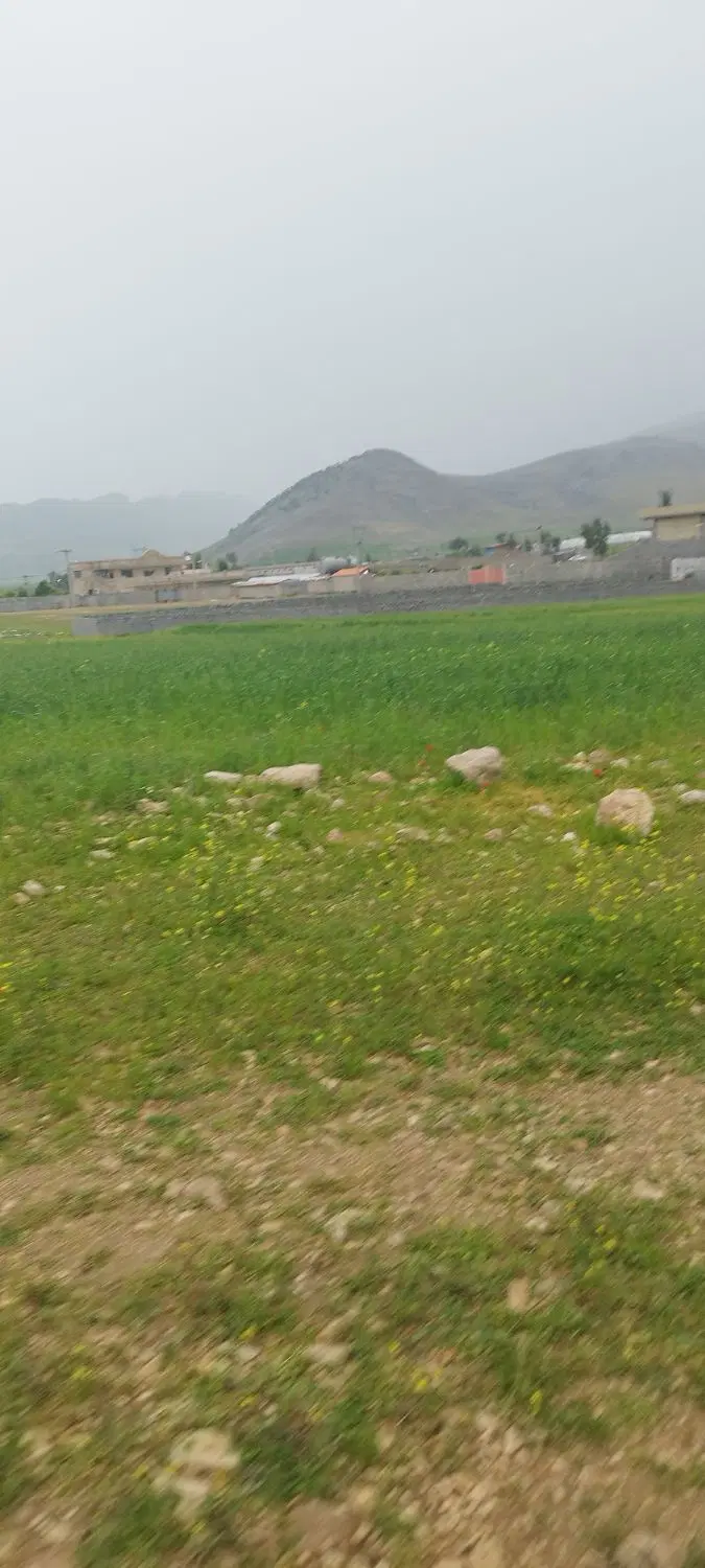 زمین کشاورزی چهارتنگ ۱۳۲۰ متر