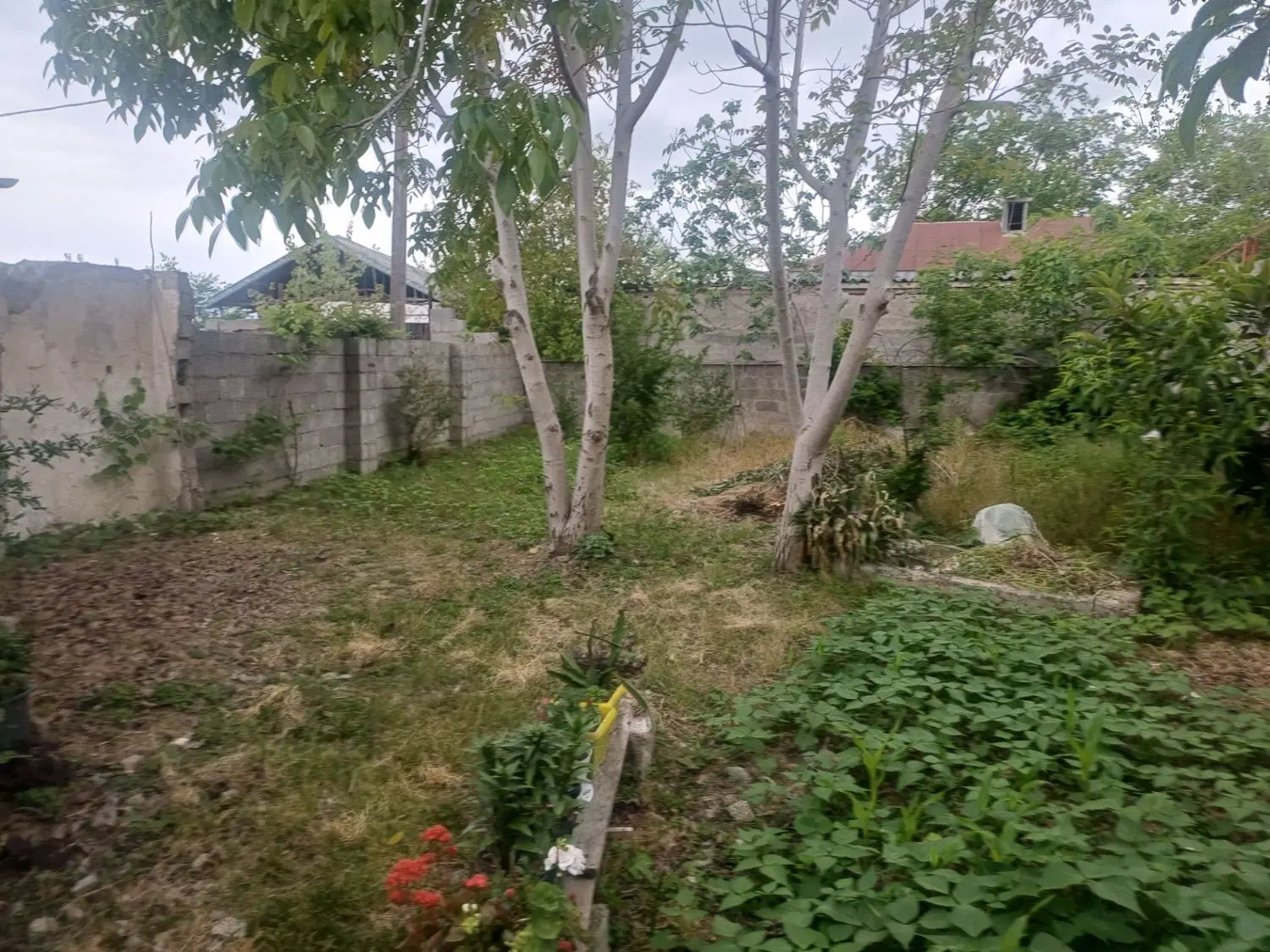 زمین