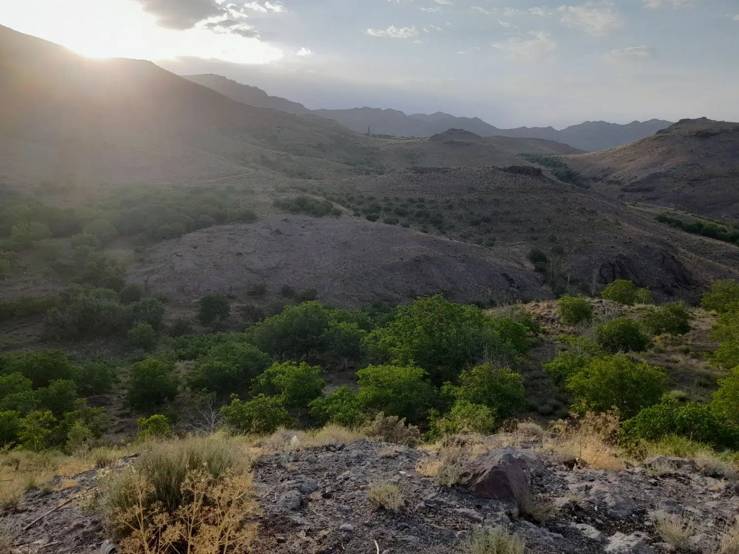 فروش زمین سیاهو