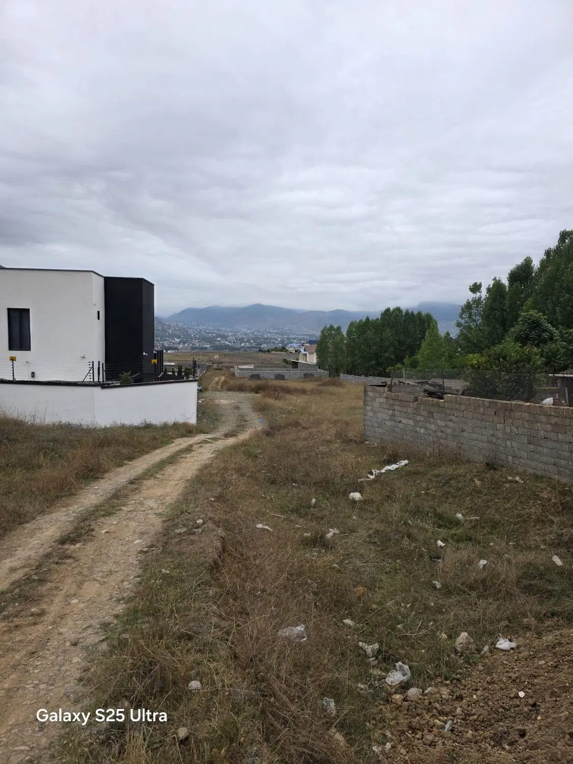زمین دیوار کشی