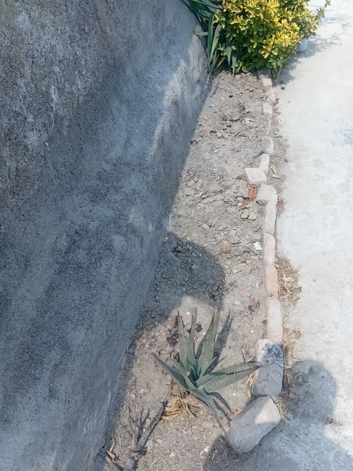 زمین ۲۶۹_۹۶متر
