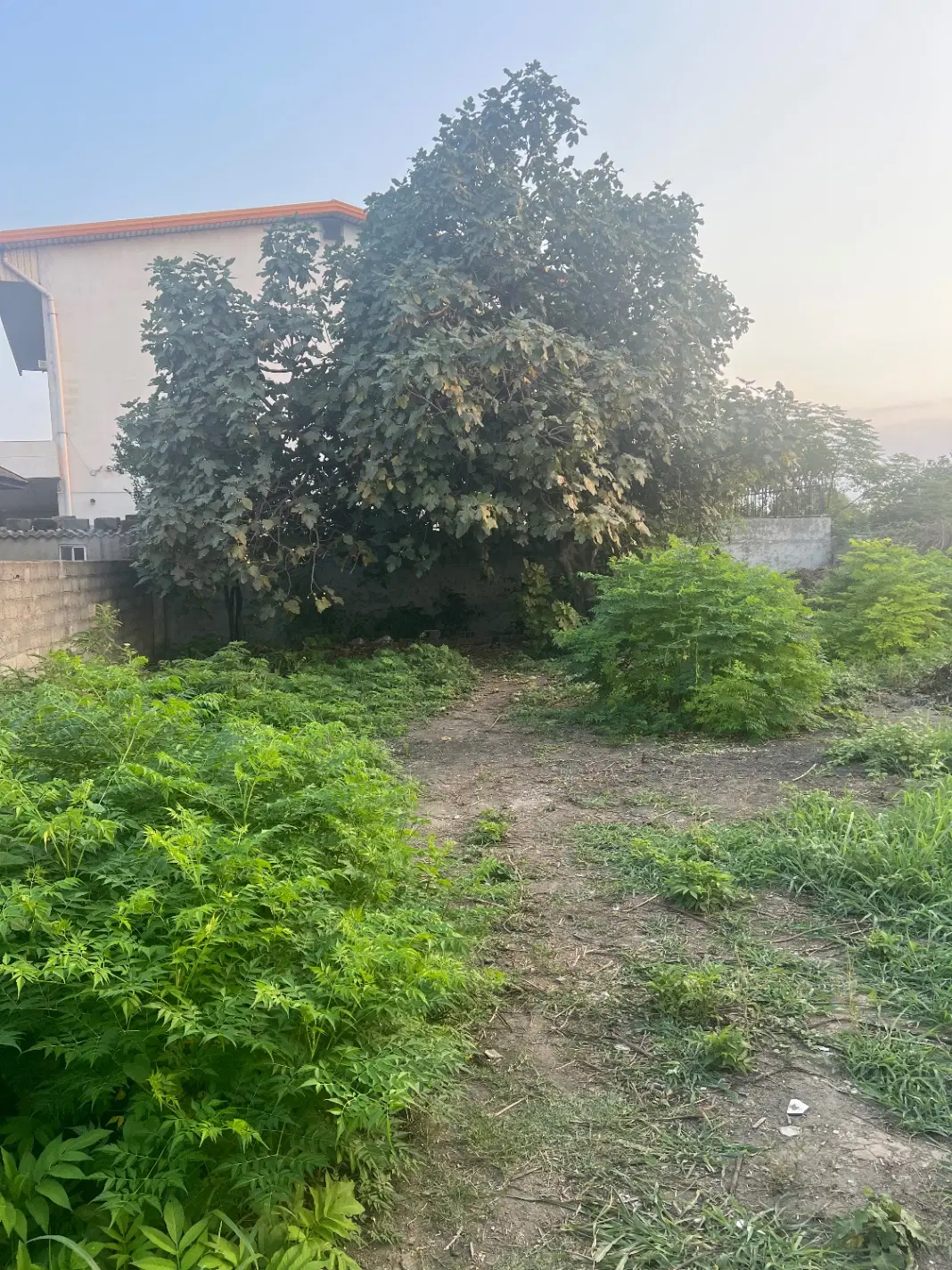 زمین مسکونی ، سند تک برگ شخصی