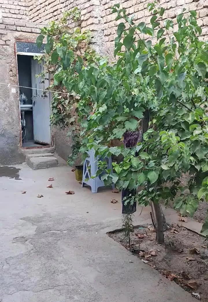 خانه اجاره ای شهدا۱۵ کاملی ۱