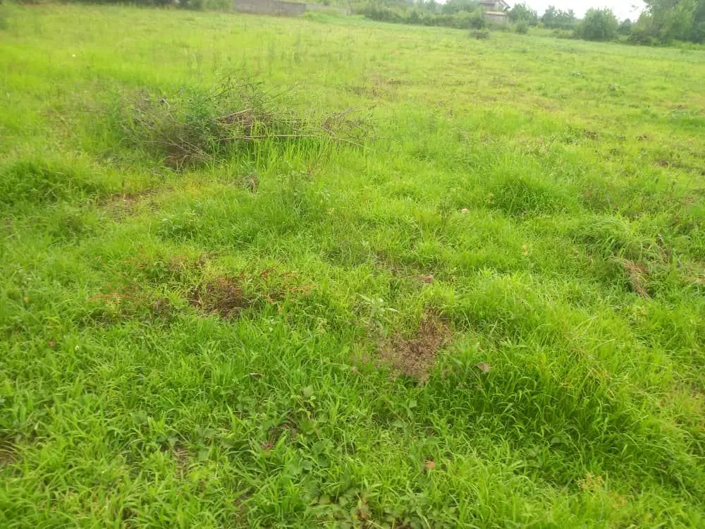 زمین فروشی اطراف شهررشت