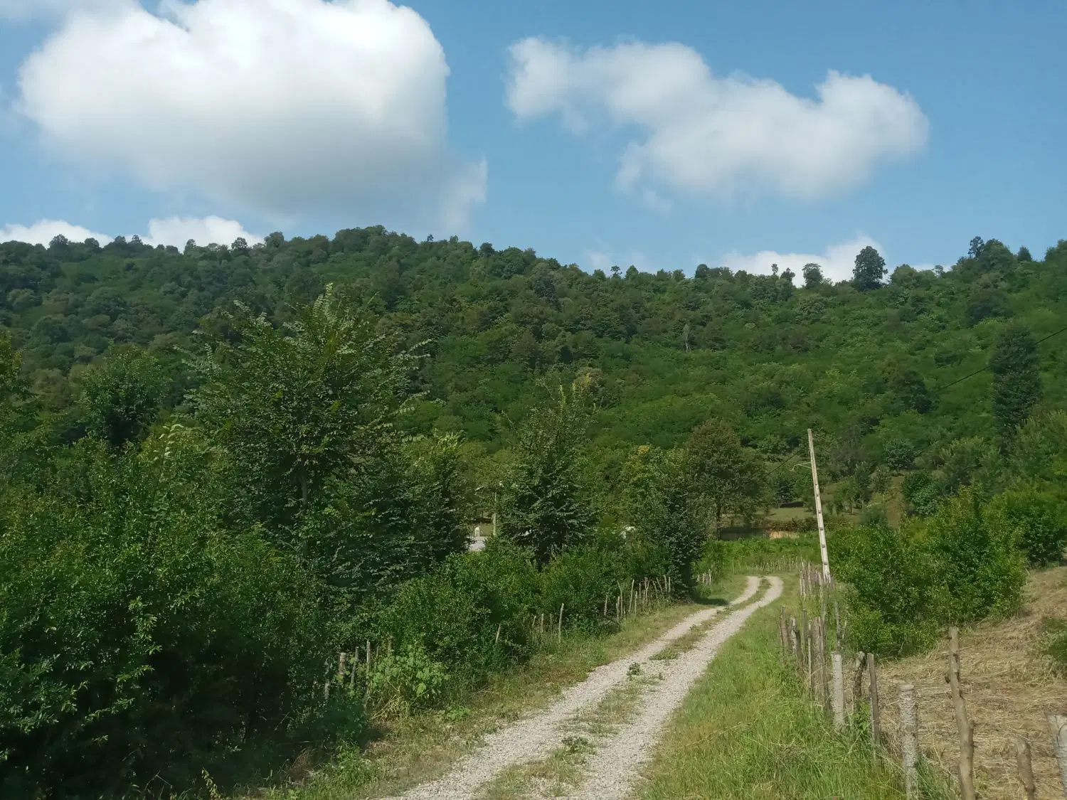 فروش خانه روستایی درجنگل وکوهپایه در ماکلوان
