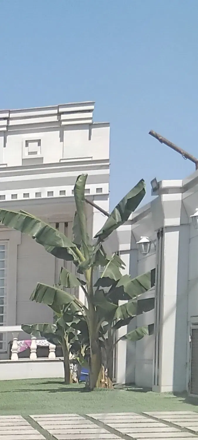 سوئیت خانه