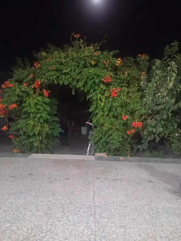 ملک