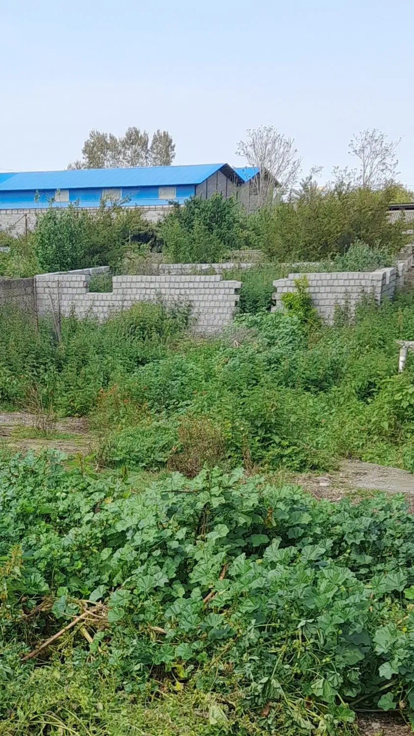 زمین لب خط کمربندی هراز
