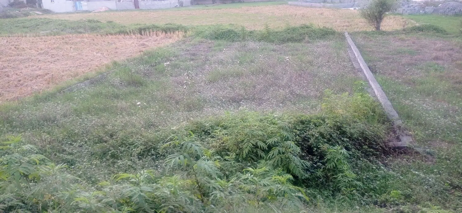 فروش ملک