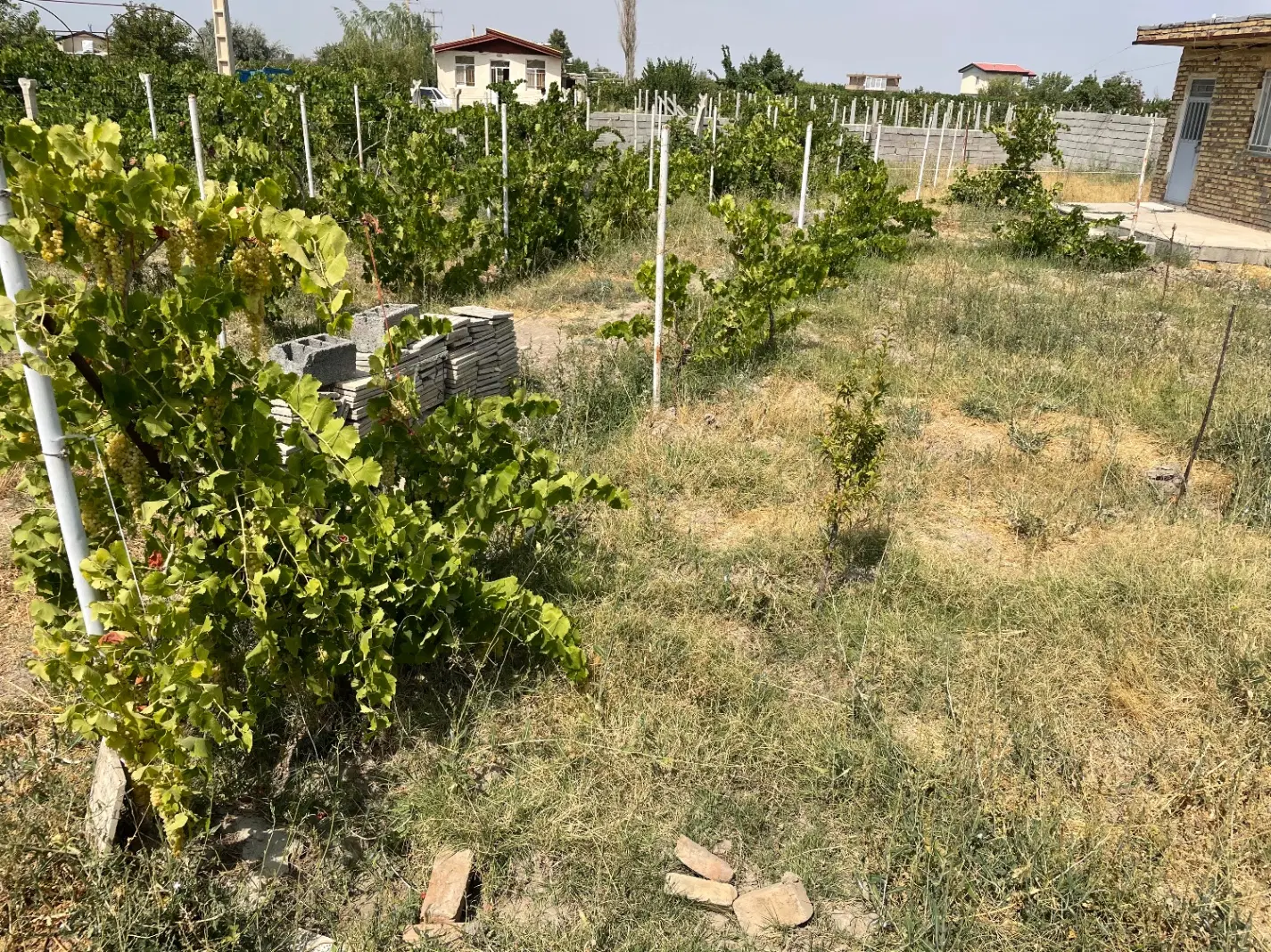 باغ چهاردیواری