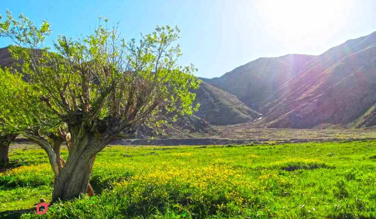 زمین ویلایی مرزیجران
