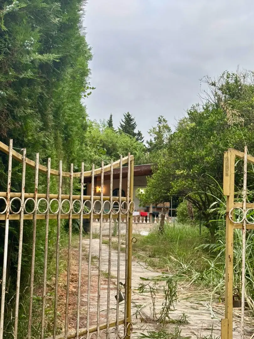 کلنگی‌کاسبی‌سود‌۲۰۰٪خریدار‌واقعی‌زیرقیمت‌مازندران‌