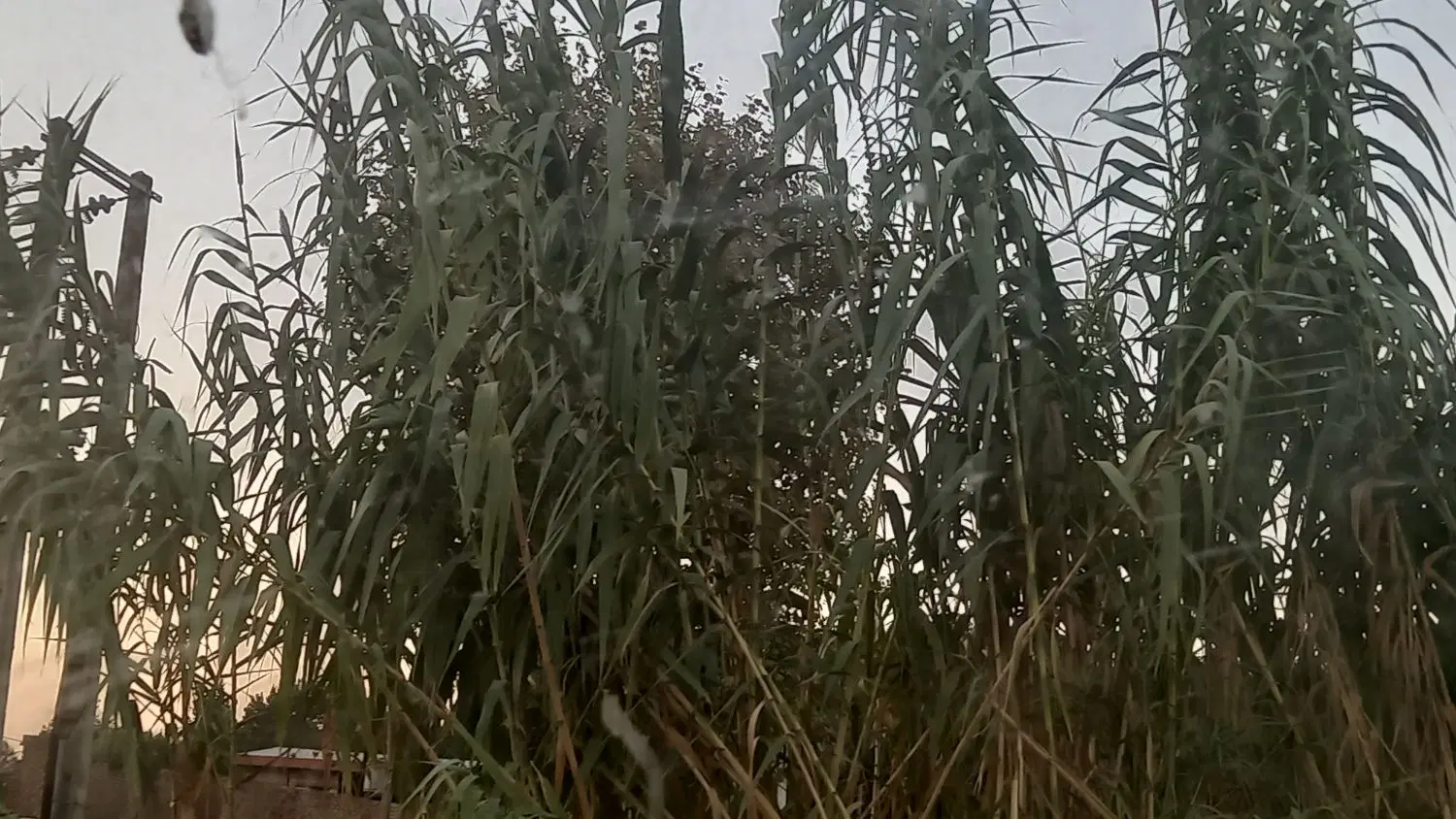 زمین خزر ۲