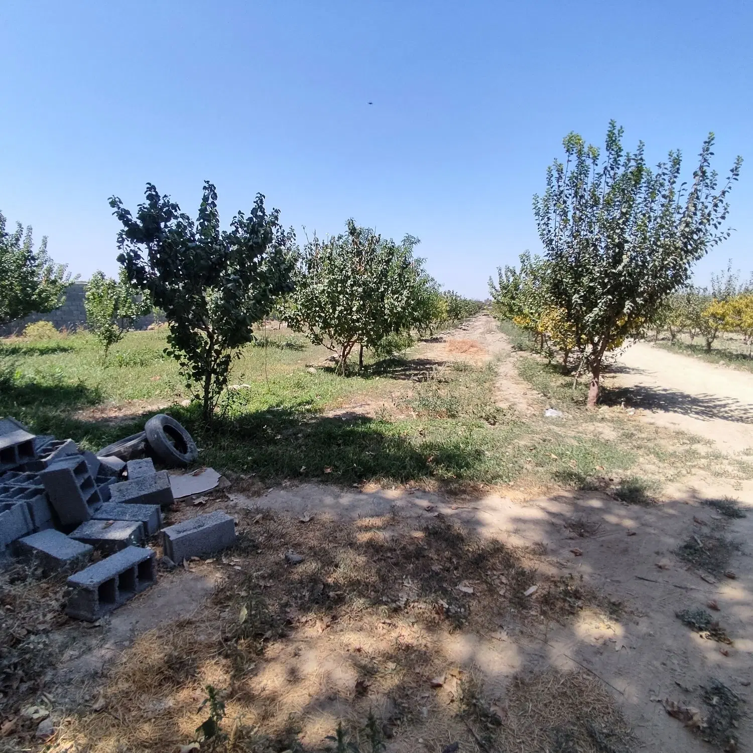 زمین شهریار