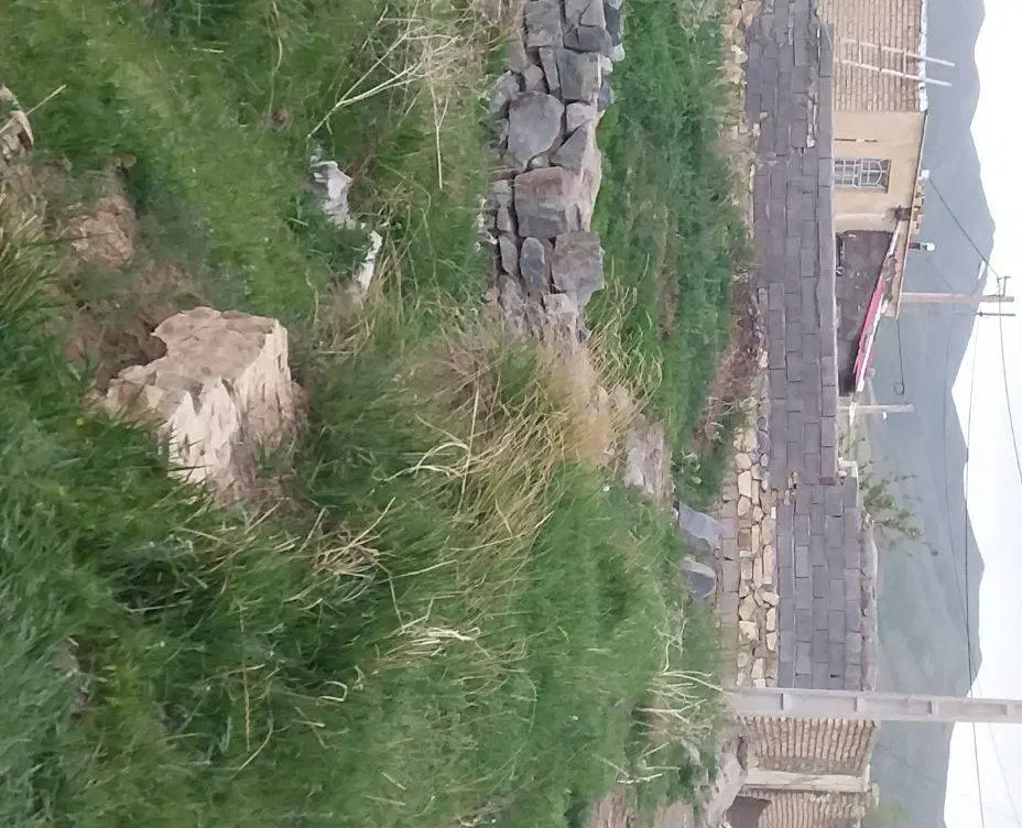 زمین (خونه_ باغچه)