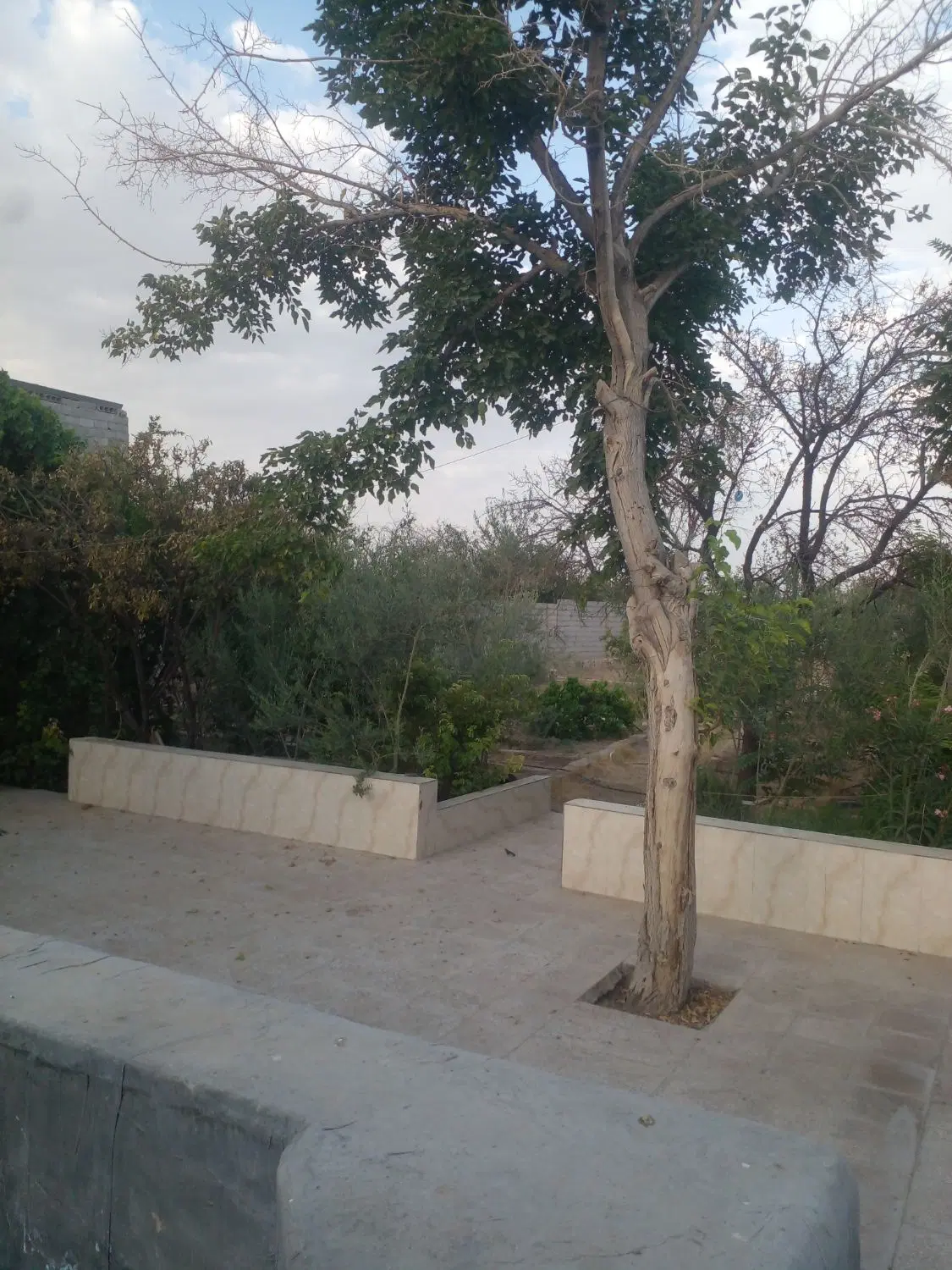 معاوضه ملک چهار دیواری
