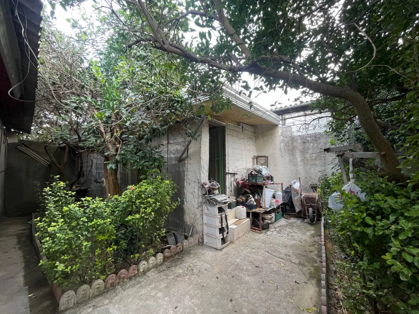 شمال سیمرغ کیاکلا