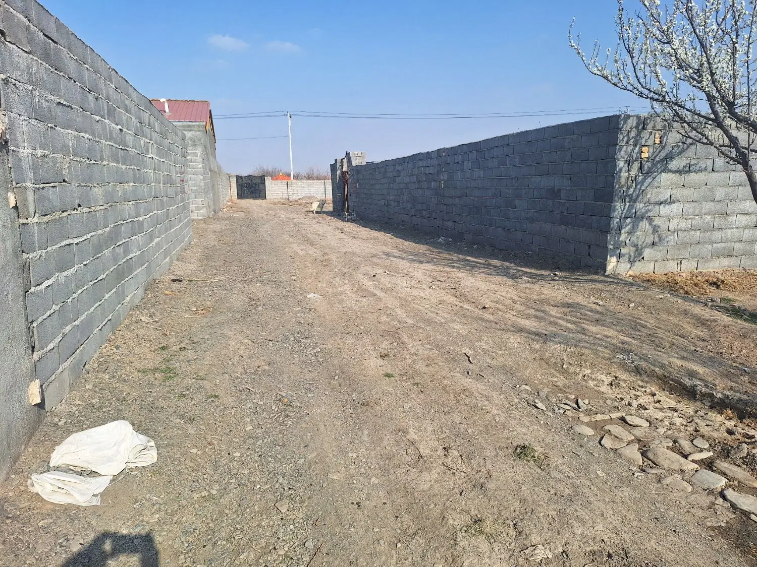 زمین