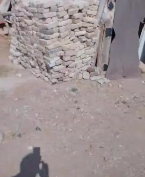 یک باغ ۶هزار متر الان ۲هزارمتر آن باغ انگور