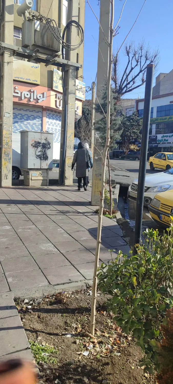 رهن و اجاره تجاری