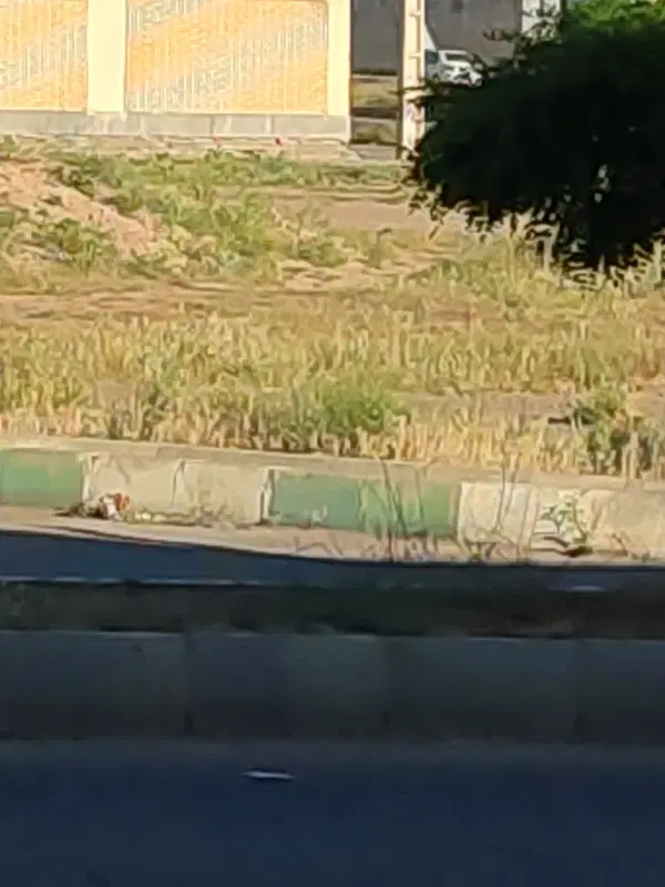 فروش زمین مسکونی