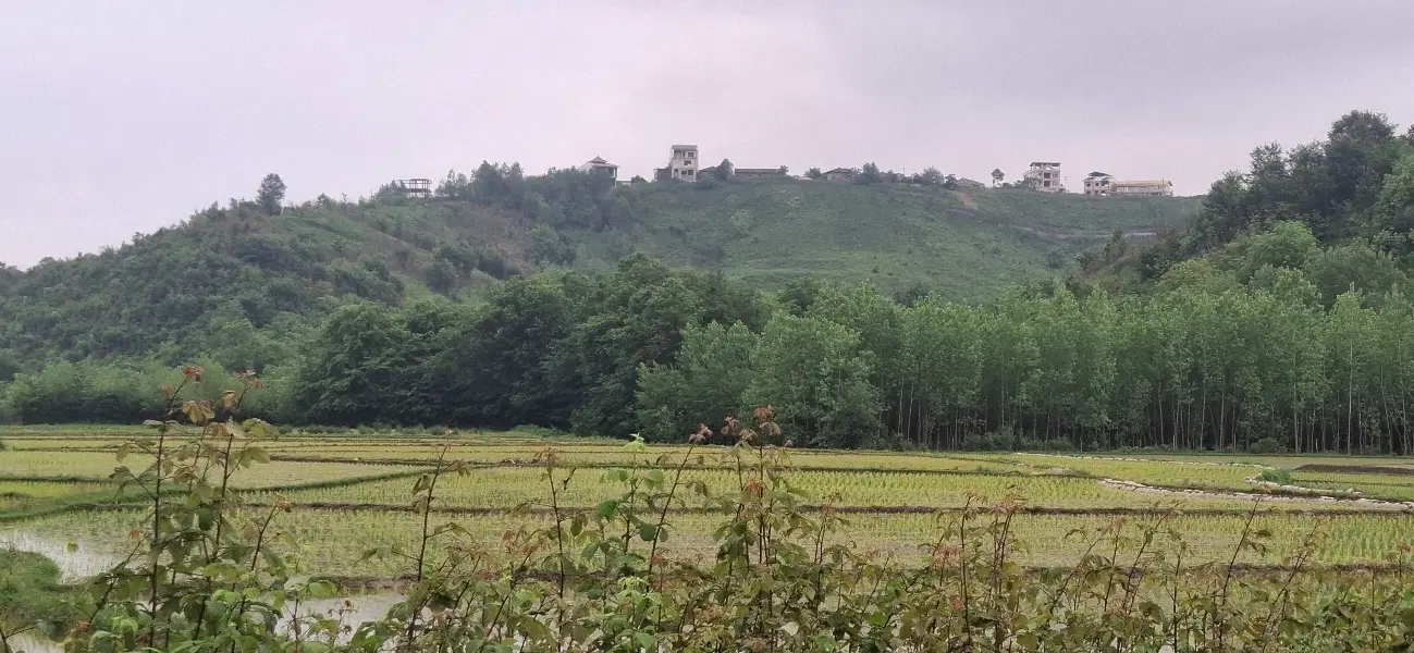 200متر مسکونی