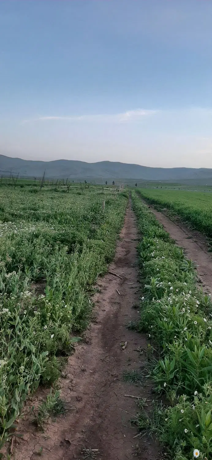 زمین  کشاورزی هزار متر