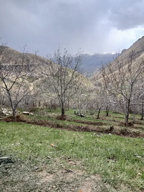 زمین با چهار دیواری