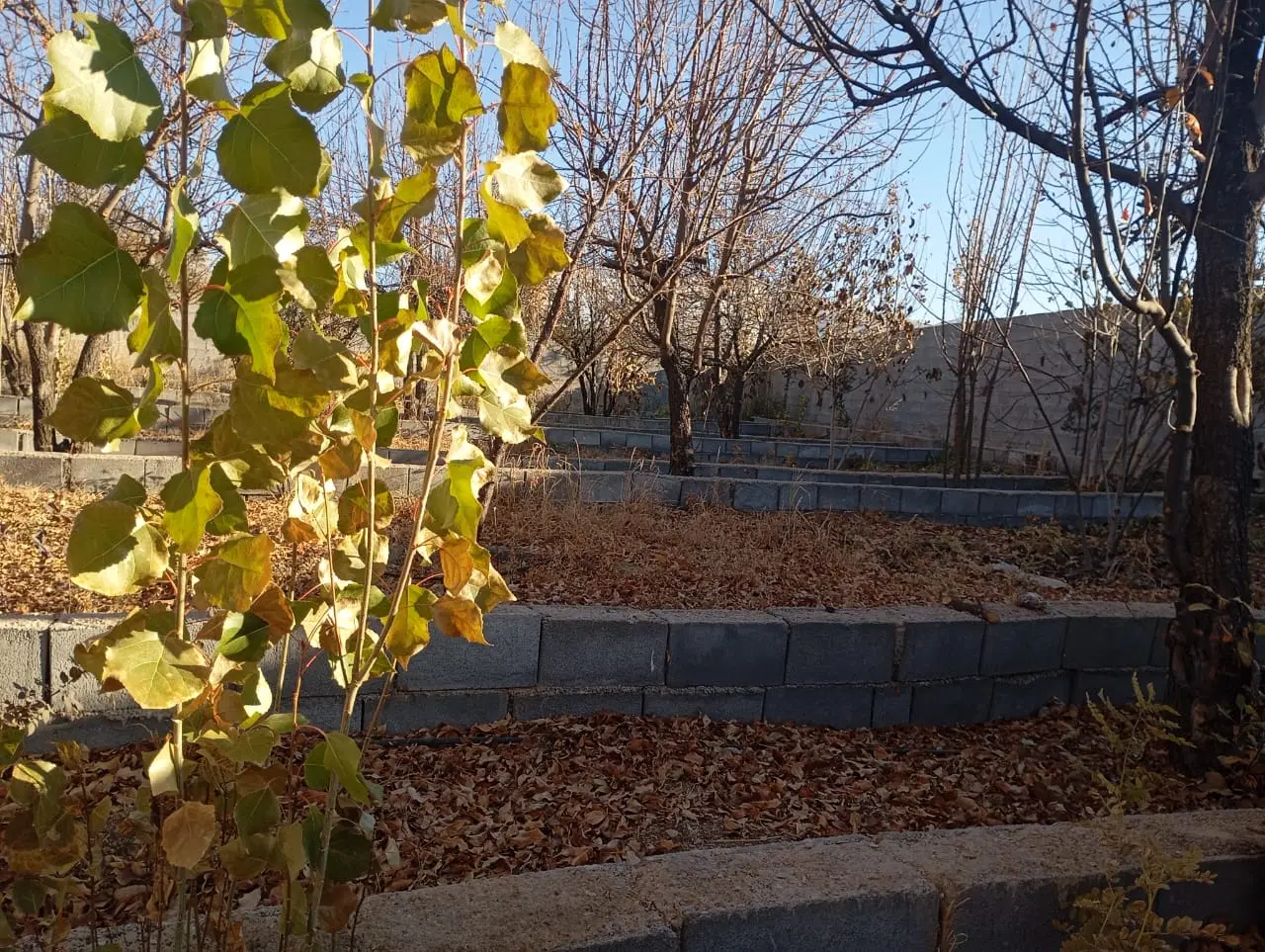 باغ ۲۷۳۰متری در روستای زیبای رودبال
