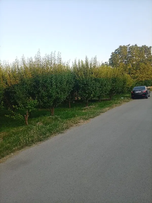 باغ واقع در جاده سلماس