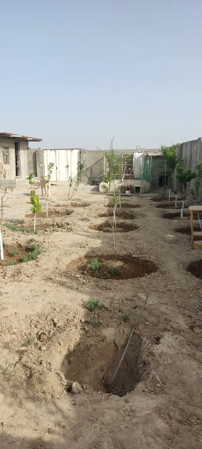 باغچه چهاردیواری