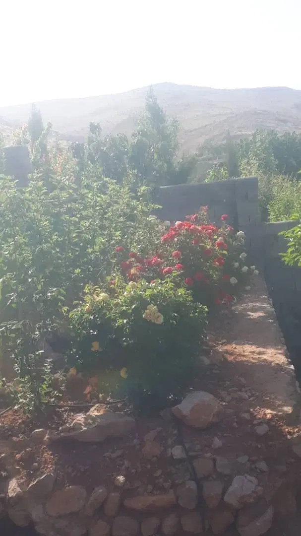 باِغچه هزار متری برشنه سپیدان
