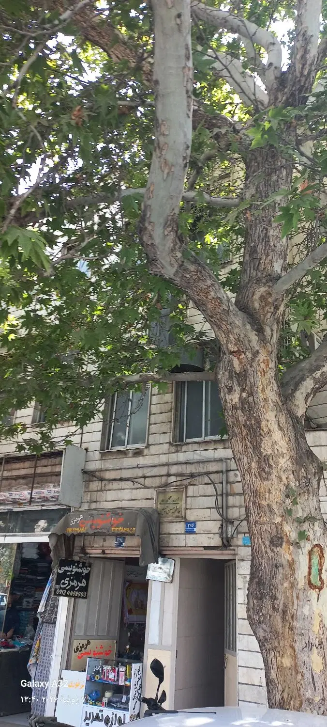 ملک کلنگی شهرک رضویه