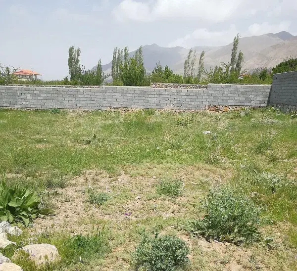 زمین یساقی