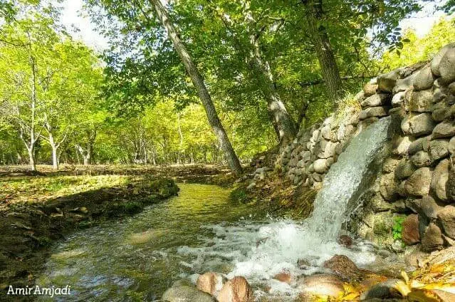 زمین باغ ویلا
