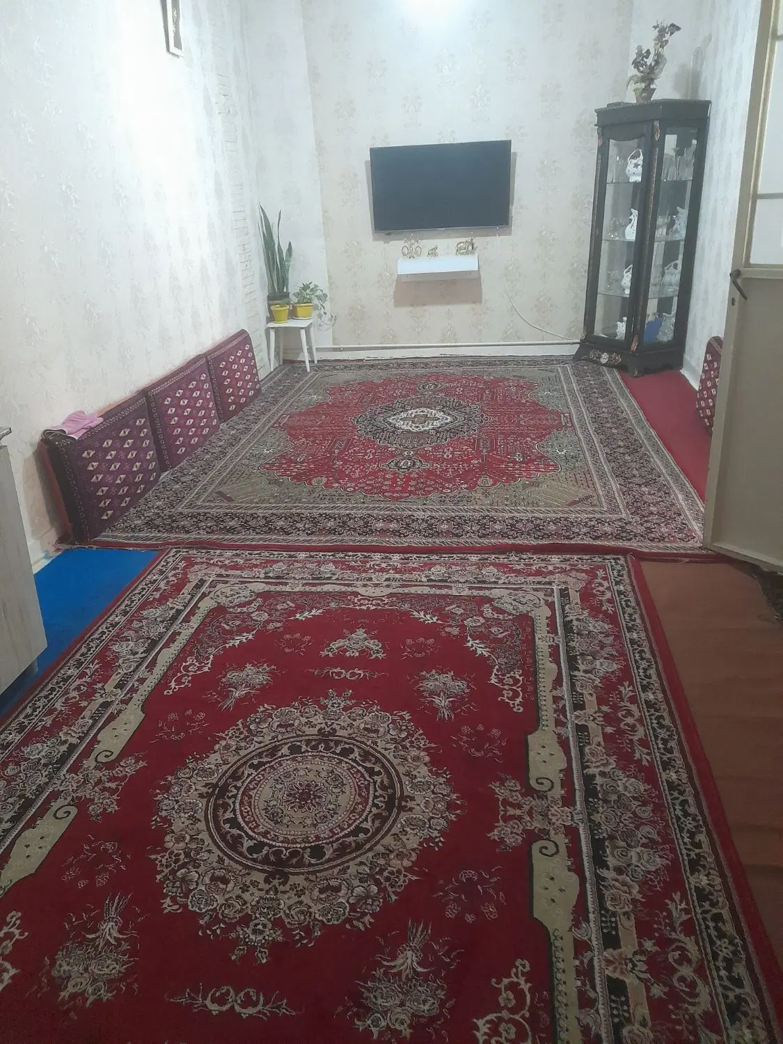 حیاط ویلایی