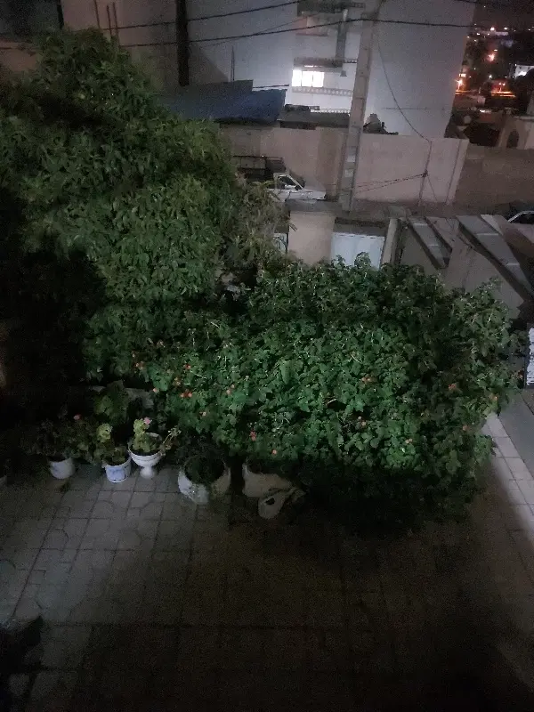 سوئیت ۴۰متریک اتاق ۱۶متری آشپزخانه سرویس بهداشتی