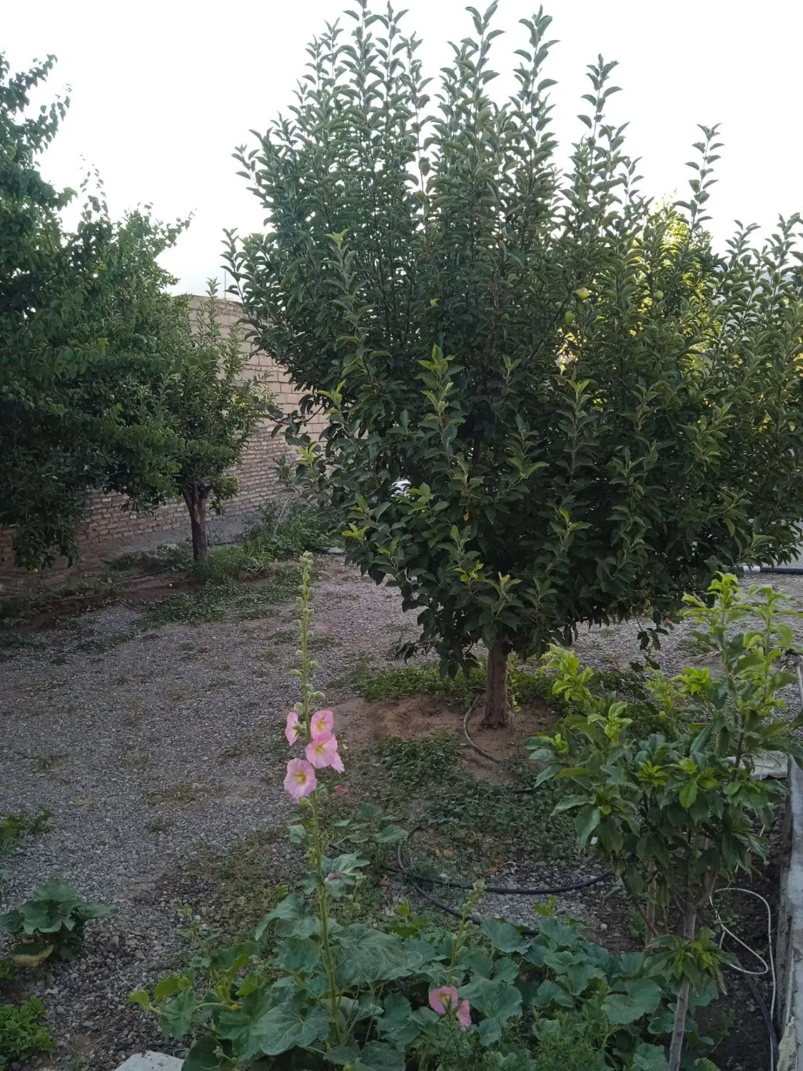 فروش خانه ویلایی