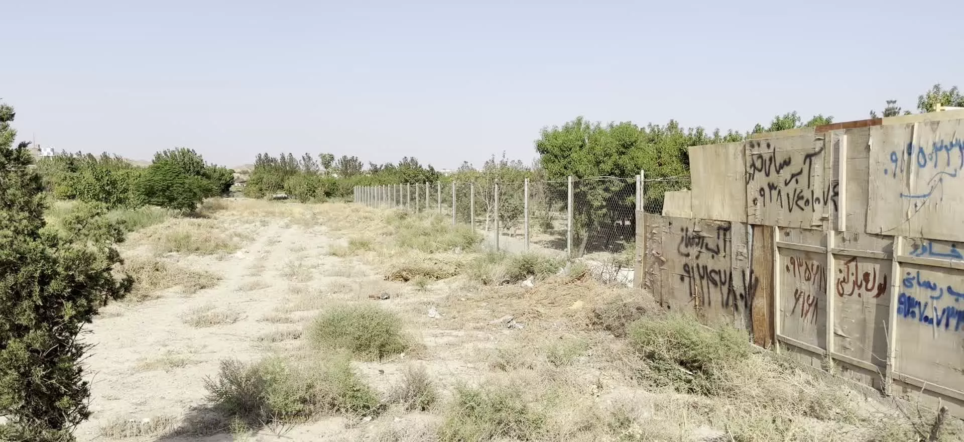 زمین باغچه سند تک برگ عطر یاس