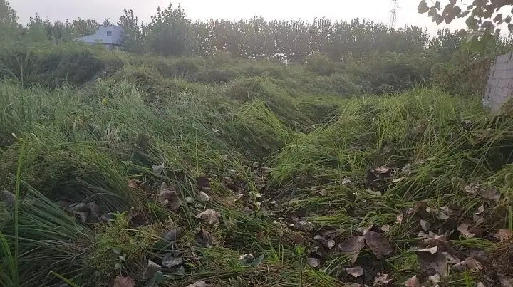 زمین سیاه اسطلخ ۸۰۰ متردو بر
