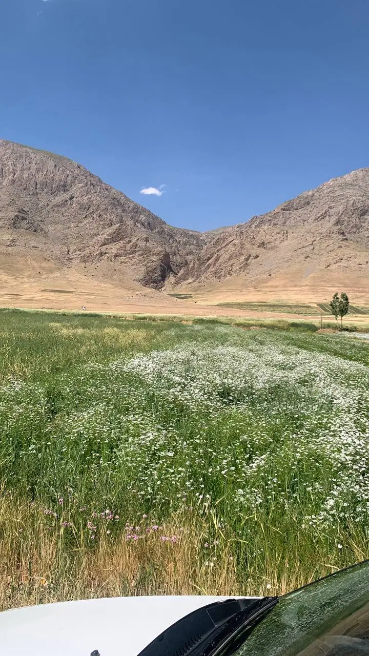 زمین آبی سربان باب باغ