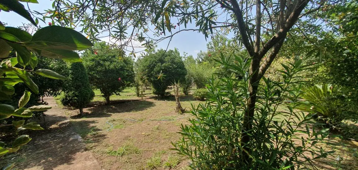 زمین فروشی