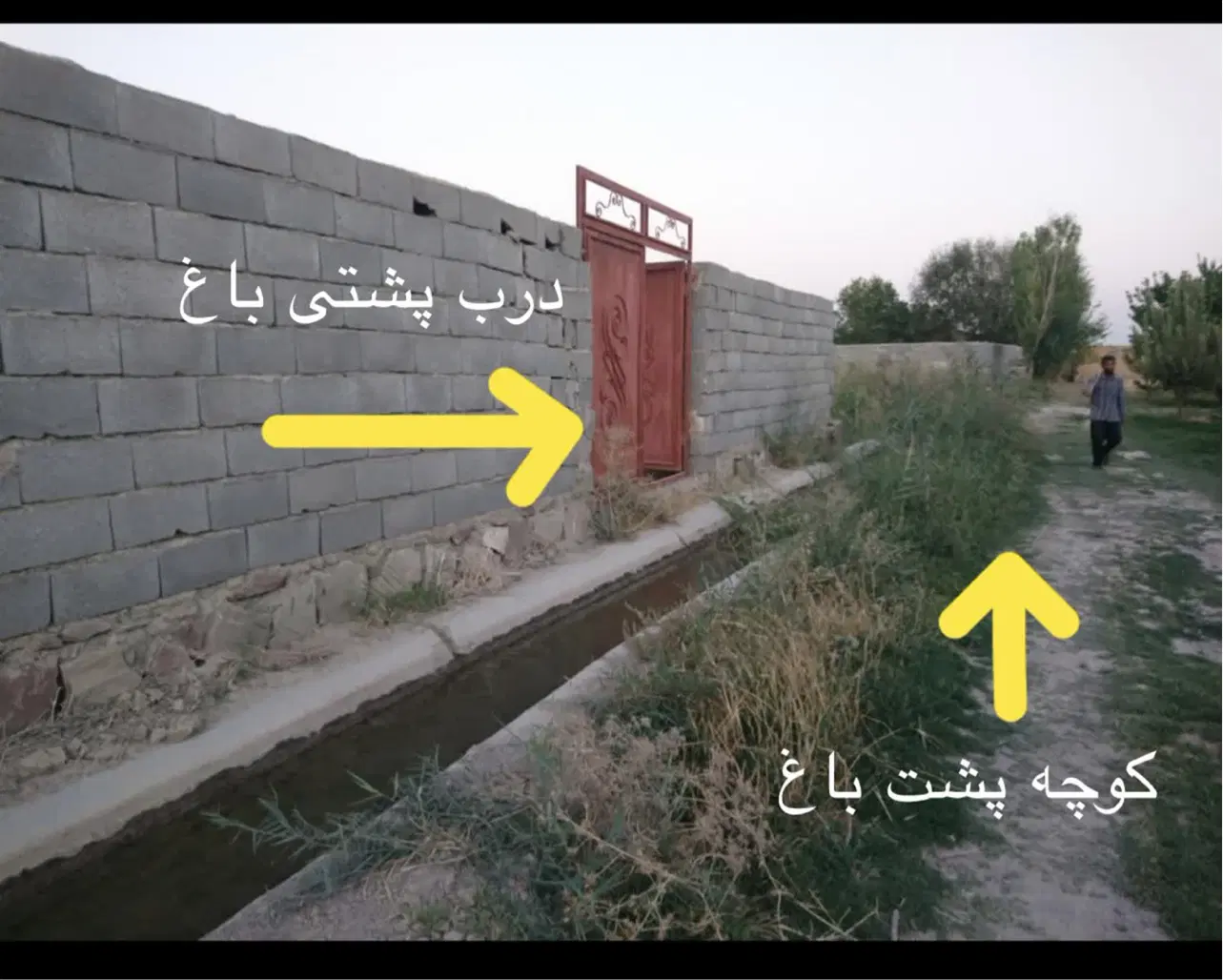 باغ حاشیه جاده اصلی